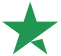 Trustpilot Star